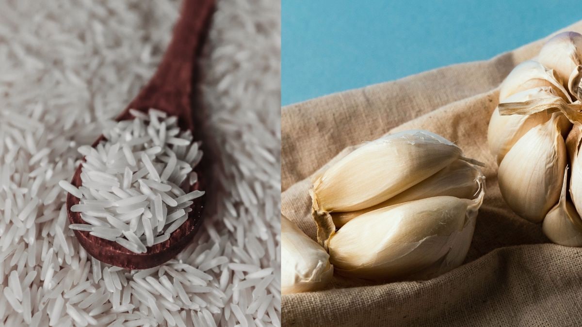 Madhya Pradesh lists GI-tagged foods including Ratlami sev and Kadaknath chicken