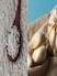 From Ratlami Sev To Kadaknath Chicken, 7 GI-Tagged Foods From Madhya Pradesh