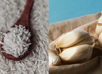 From Ratlami Sev To Kadaknath Chicken, 7 GI-Tagged Foods From Madhya Pradesh
