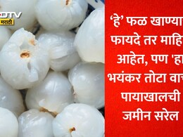 गोड रसाळ फळात लपलंय 'हे' धोकादायक रसायन, कसं आणि कोणत्या वेळेस खाल्ल्यास बनते विष? तज्ज्ञांचा धक्कादायक खुलासा