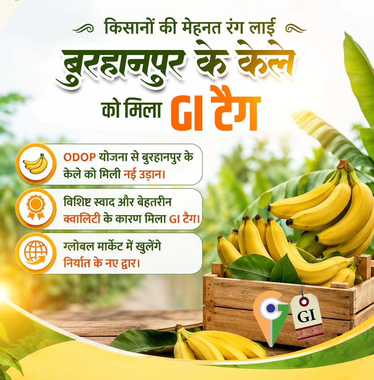 burhanpur banana gi tag burhanpur banana gi tag