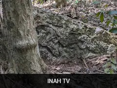 Ancient Maya City Found Untouched In Mexican Jungle After 1,000 Years