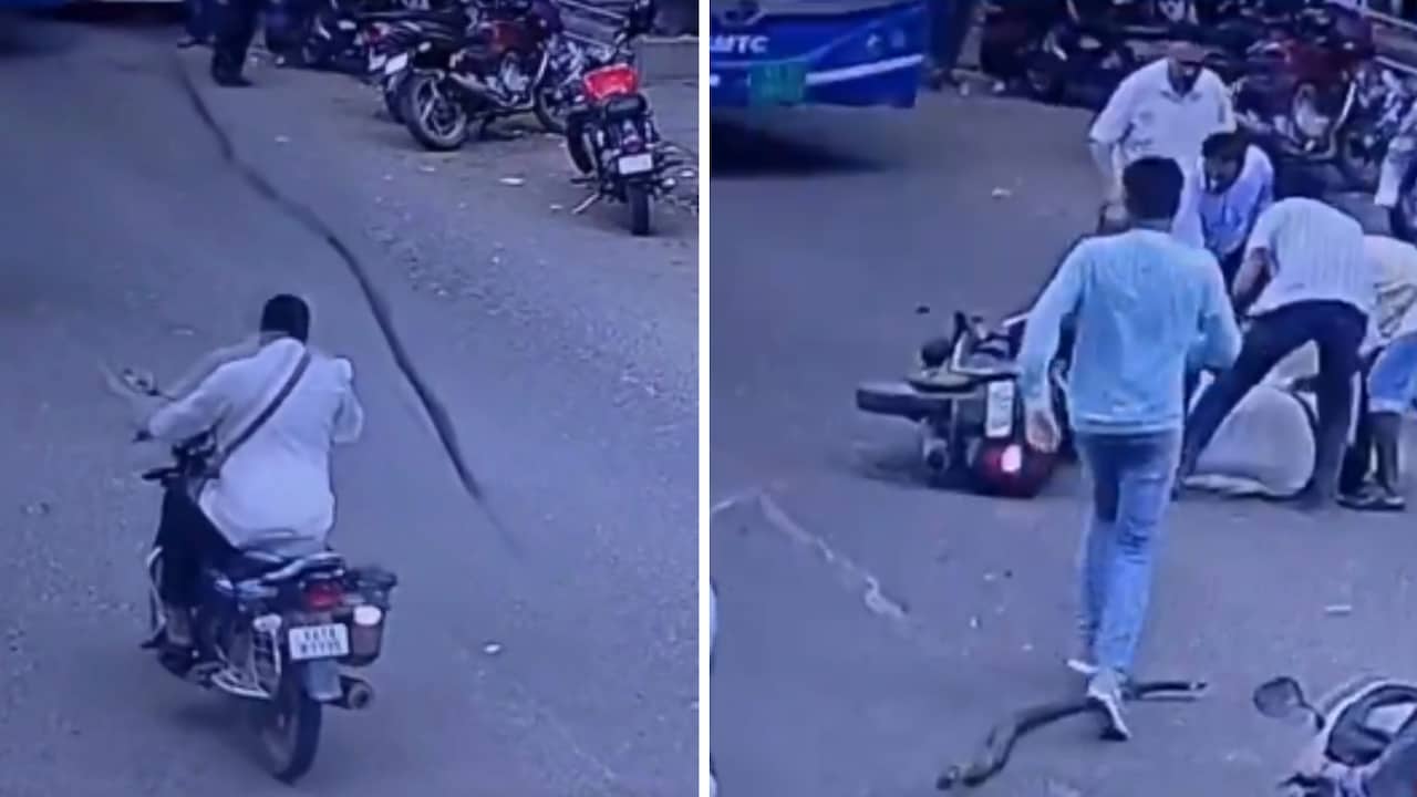चलती बाइक पर अचानक गिरी पेड़ की डाल, हेलमेट न पहनने की चुकानी पड़ी भारी कीमत, VIDEO वायरल