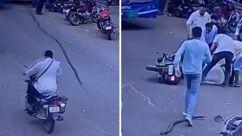 चलती बाइक पर अचानक गिरी पेड़ की डाल, हेलमेट न पहनने की चुकानी पड़ी भारी कीमत, VIDEO वायरल