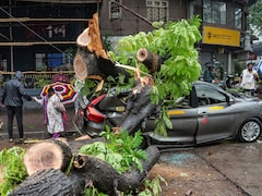 Wall Collapses, Trees Uprooted, Car Crushed: Mumbai Monsoon Rain Mayhem