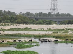 Weather LIVE Updates: Delhi Sees Season's Warmest Nights In 4 Years As Summer Nears End