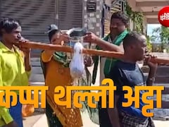 मेंढक की शादी नहीं, कप्पा थल्ली अट्टा! बारिश बुलाने की सदियों पुरानी अनोखी परंपरा आज भी जिंदा