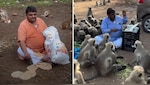 सैकड़ों बंदरों का पेट भर सोशल मीडिया पर छाए 'मंकी मैन', वीडियो जीत रहा लोगों का दिल