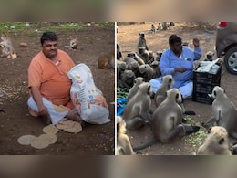 सैकड़ों बंदरों का पेट भर सोशल मीडिया पर छाए 'मंकी मैन', वीडियो जीत रहा लोगों का दिल