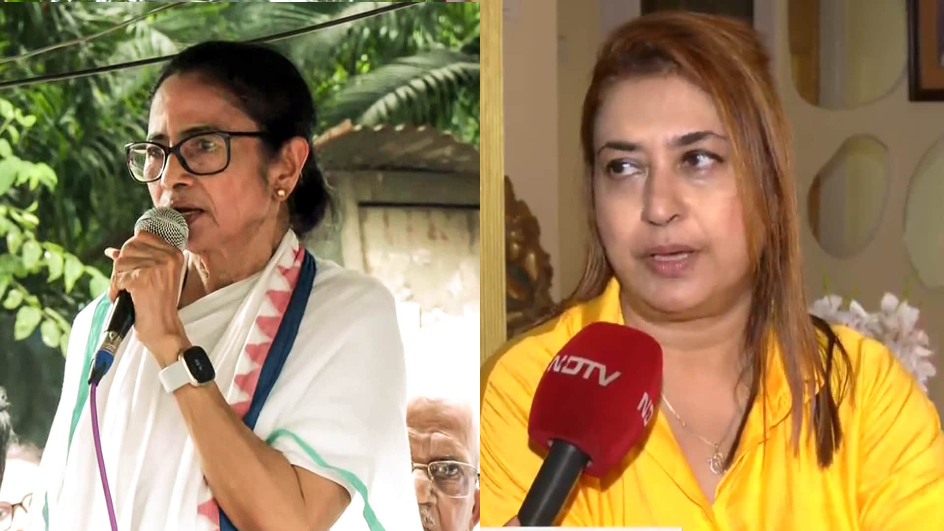 Rebel TMC MP Satabdi Roy: Party Should Address The Problems