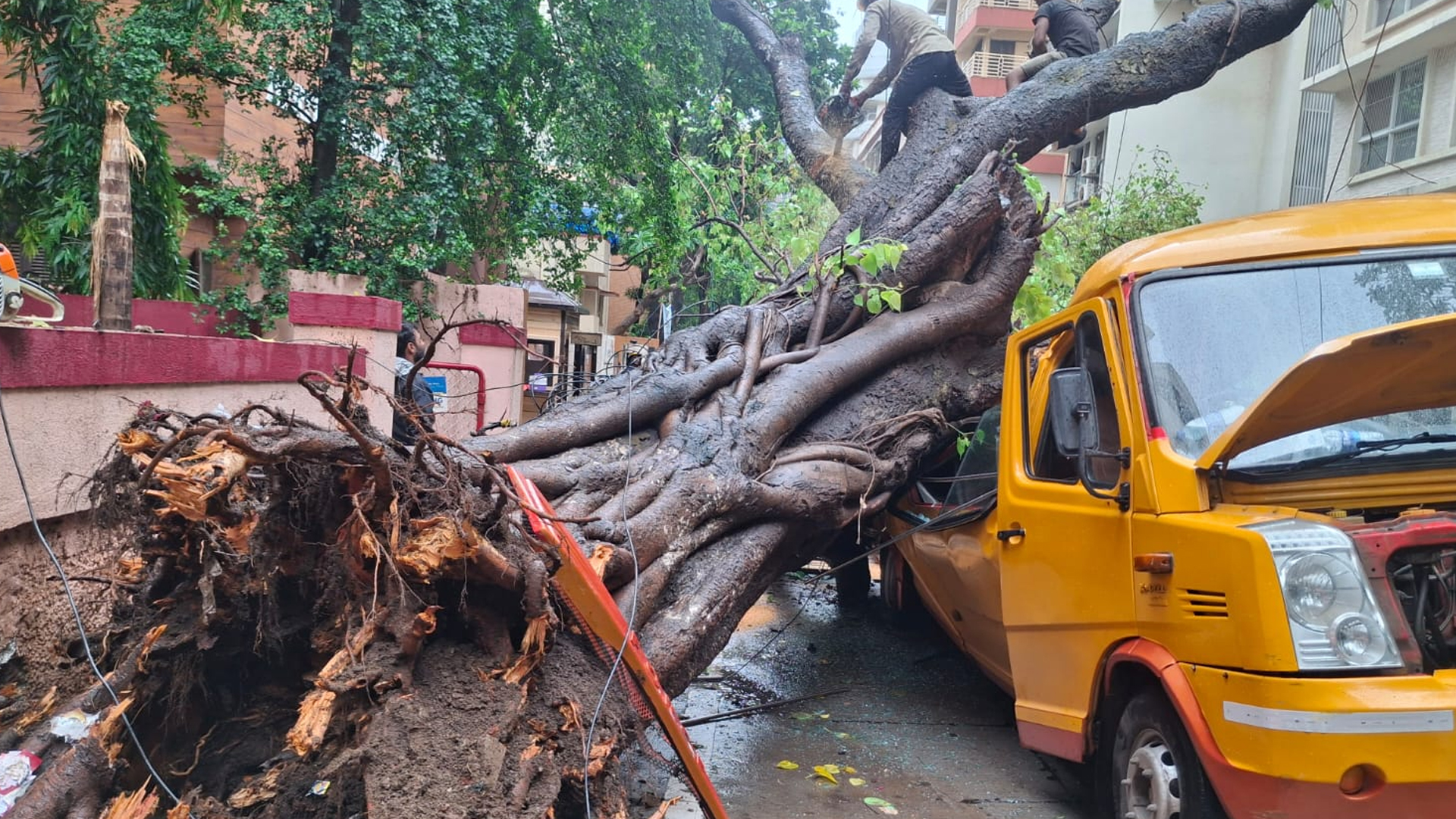 10 Children Injured, 1 Trapped After Tree Collapses On School Bus In Mumbai