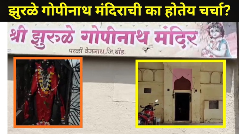 Cockroach Janta Party ट्रेंडमध्ये, महाराष्ट्रातील झुरळे गोपीनाथ मंदिराचीही प्रचंड चर्चा, झुरळांना मानतात देव