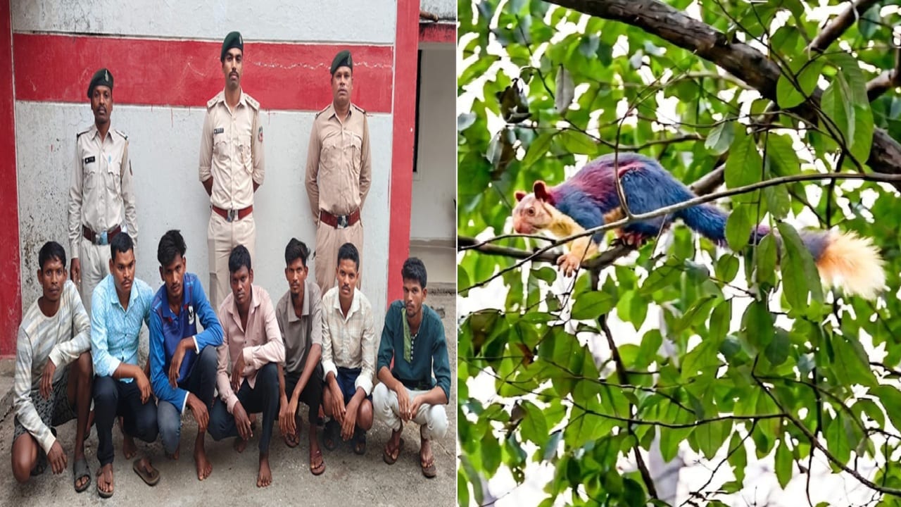 इंस्टाग्राम रील ने खोली शिकारियों की पोल: दुर्लभ विशाल गिलहरी और बंदर का शिकार करने वाले 7 आरोपी गिरफ्तार