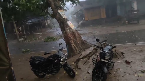 ब&zwj;िहार के बेत&zwj;िया में आंधी-पानी ने मचाई तबाही, जड़ से उखड़ गए व&zwj;िशाल पेड़&nbsp;