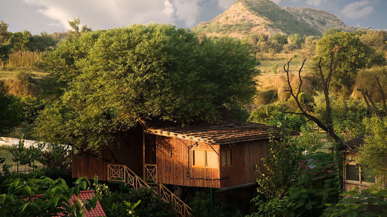 Tree House, Night Safari, Water Cottage: How This Club Mahindra Resort In Jaipur Connects You With Nature