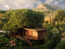Tree House, Night Safari, Water Cottage: How This Club Mahindra Resort In Jaipur Connects You With Nature