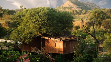Tree House To Night Safari, This Jaipur Resort Connects You With Nature
