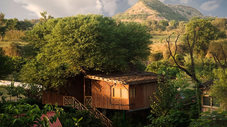 Tree House, Night Safari, Water Cottage: How This Club Mahindra Resort In Jaipur Connects You With Nature