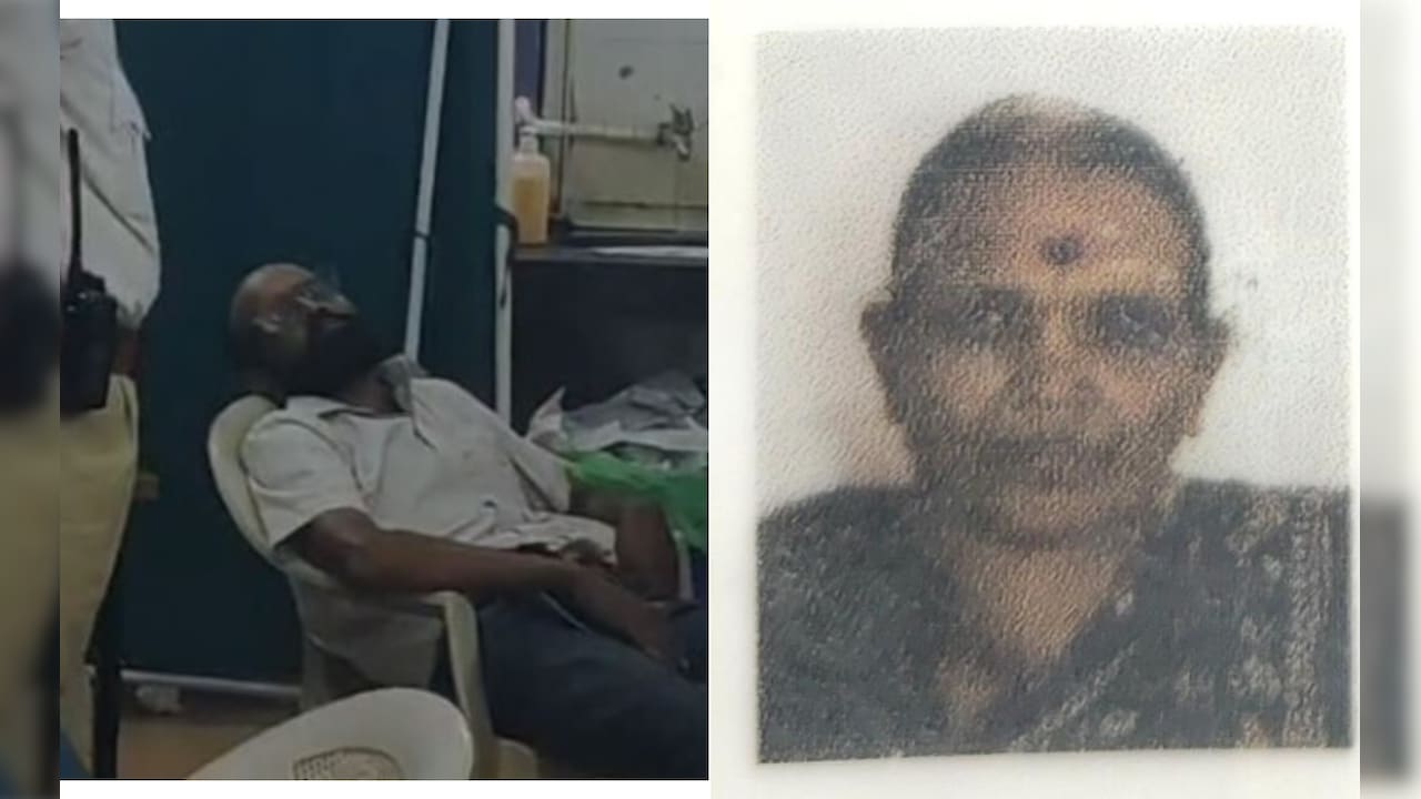 Karnataka Woman Dies In Crash As Son Swerves Bike To Save Dog