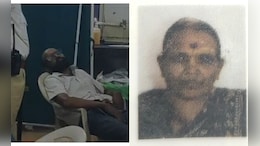 Karnataka Woman Dies In Crash As Son Swerves Bike To Save Dog