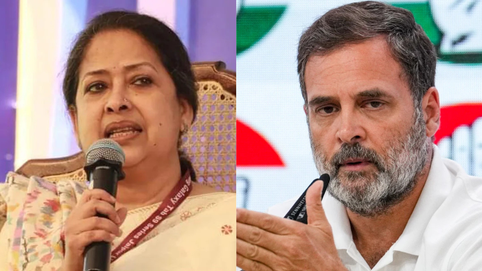 "Politics Is 24-Hour Job": Pranab Mukherjee's Daughter On Rahul Gandhi's "Disappearing Act"