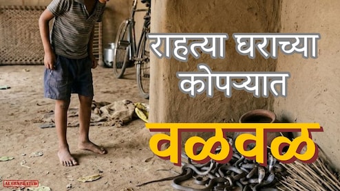 Kalyan News : राहत्या घराच्या कोपऱ्यात आंगतुक पाहुण्यांचा ठिय्या; तुटलेली लादी उचलताच अशोक लोखंडे हादरले!