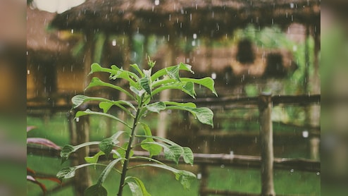 When Will Monsoon Arrive In Delhi? IMD Issues Alert For Rain In Tamil Nadu, Maharashtra, More &mdash; Region-Wise Forecast