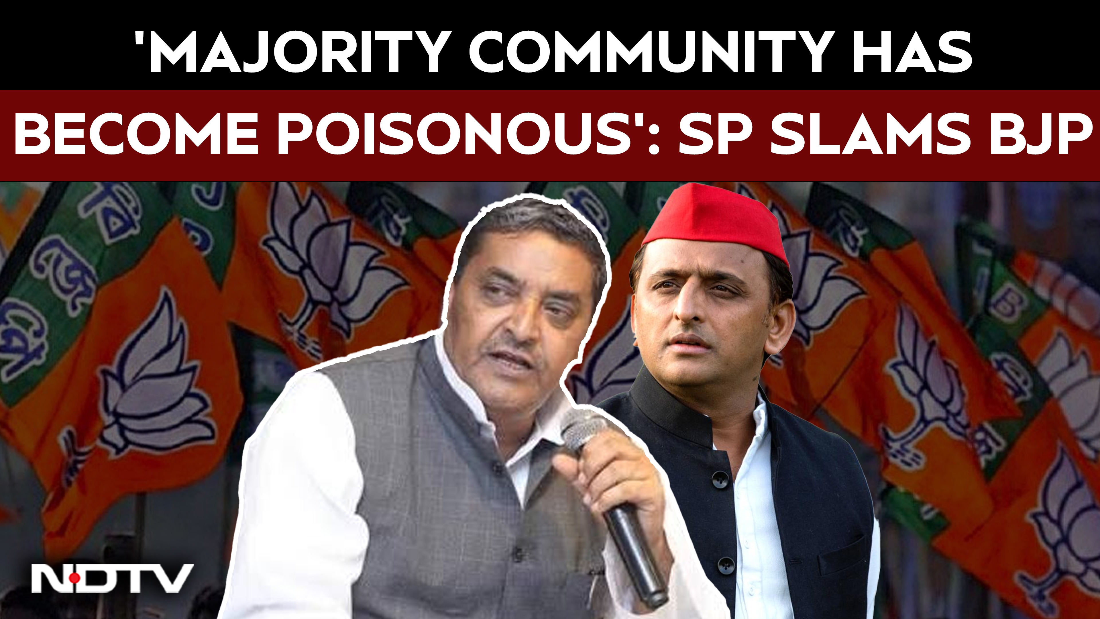 UP Election News | 'Majority Community Has Become Toxic': SP MP Javed Ali Khan Targets BJP