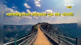 Mahabaleshwar: महाबळेश्वरमध्ये पर्यटकांना आता 'या' पॉईंटवर नो एट्री, 'हे' कारण ठरलं कारणीभूत, अटी नियम लागू