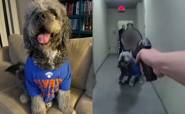 "F**k. It's Big A** Dog": Video Shows US Cops Shooting Pet After 911 Call