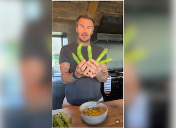 https://food.ndtv.com/news/victoria-and-david-beckham-share-a-glimpse-of-their-homegrown-harvest-watch-11671119