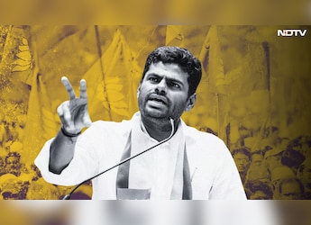 'Singam' K Annamalai: BJP's Tamil Nadu Star Rose Fast, Fell Faster