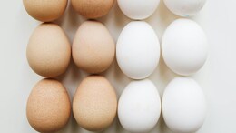 Is It Safe To Eat Raw Eggs? The Salmonella Infection Risk Explained