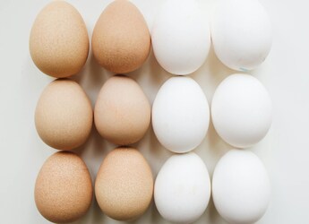 Is It Safe To Eat Raw Eggs? The Salmonella Infection Risk Explained