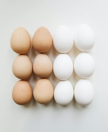 Protein Rich Food Good For Health