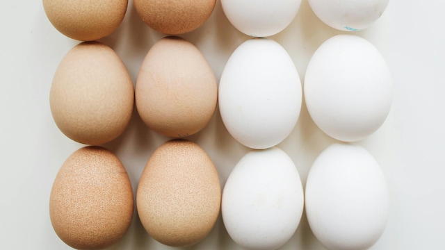 Salmonella is a group of bacteria that commonly causes foodborne illness