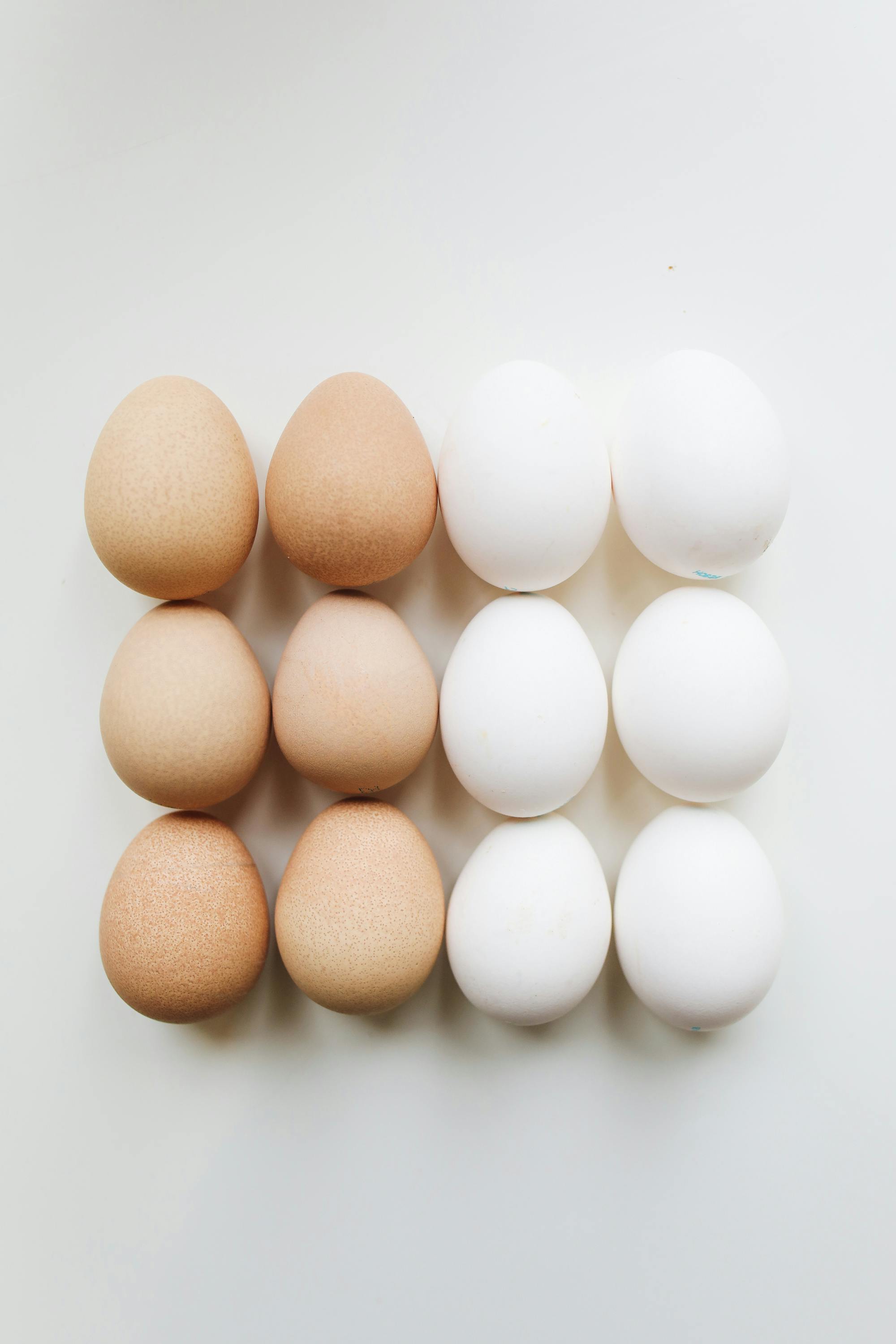 Salmonella is a group of bacteria that commonly causes foodborne illness