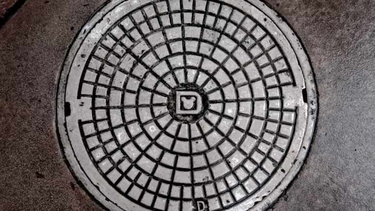Mumbai Rains Havoc: Civic Body Employee Falls In Manhole In Front Of Mayor Ritu Tawde - Video
