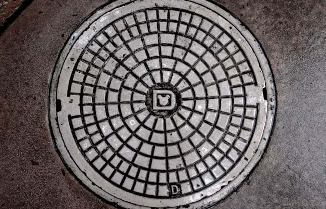 Mumbai Rains Havoc: Civic Body Employee Falls In Manhole In Front Of Mayor Ritu Tawde - Video