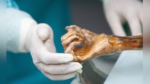Scientists Bake Sourdough Bread From Yeast Found On 5000-Year-Old Mummy