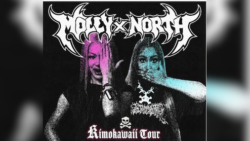 Kim Kardashian&rsquo;s Daughter North West Announces 'Kimokawaii&rsquo; Concert With Molly Santana