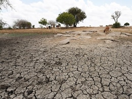 Drought Conditions Spread Across India, Farmers Put On Edge