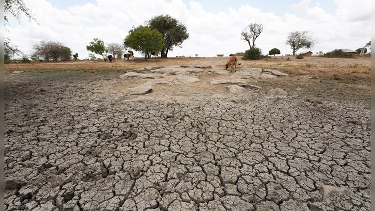 12 Tamil Nadu Districts Likely To Be Affected More Due To El Nino: Minister