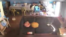 फिलीपींस में भूंकप की तबाही के बीच ममता की मिसाल, जान की परवाह छोड़कर मां ने बच्चे को ऐसे बचाया- Video