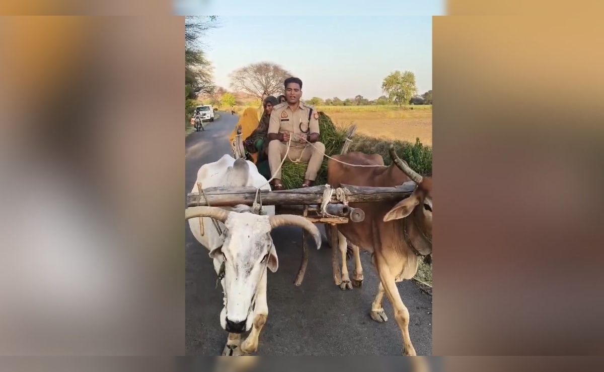 महोबा के सीओ ने छोड़ी गाड़ी, चलाने लगे बैलगाड़ी, बोले-यही असली इंडिया, VIDEO
