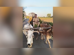 सरकारी गाड़ी छोड़ जब बैलगाड़ी चलाने लगे CO रविकांत गौड़, खाकी की सादगी ने जीता सबका दिल; वायरल हुआ VIDEO