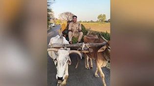 सरकारी गाड़ी छोड़ जब बैलगाड़ी चलाने लगे CO रविकांत गौड़, खाकी की सादगी ने जीता सबका दिल; वायरल हुआ VIDEO