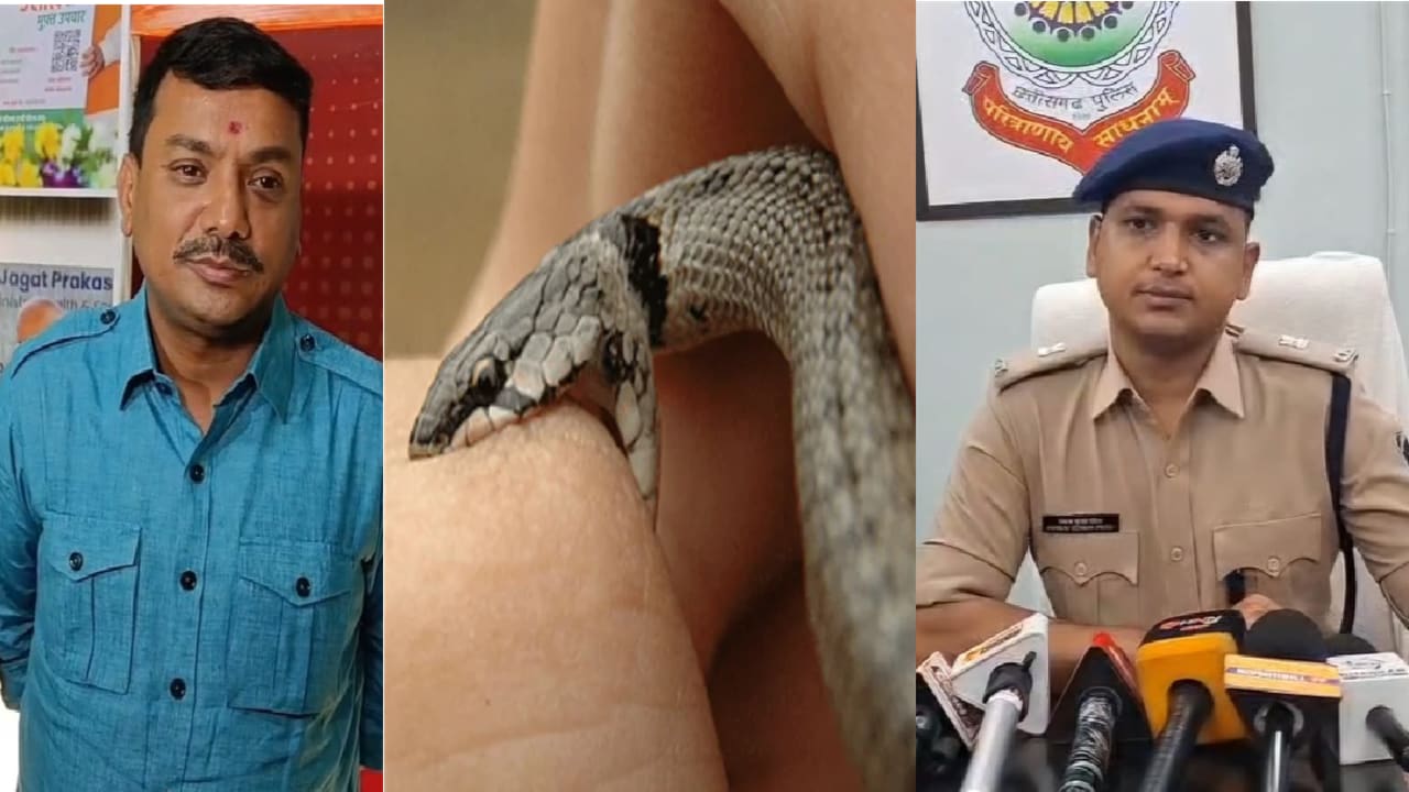 सर्पदंश मुआवजा घोटाला: बिलासपुर में पैसों का बंटरबांट; 14 मामलों में FIR, वकील-डॉक्टर समेत आवेदकों की मिलीभगत