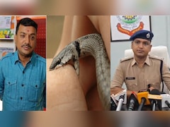 सर्पदंश मुआवजा घोटाला: बिलासपुर में पैसों का बंटरबांट; 14 मामलों में FIR, वकील-डॉक्टर समेत आवेदकों की मिलीभगत