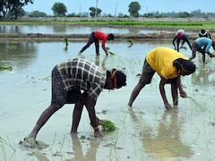 After Oil, Weak Monsoon Emerges As India's Next Economic Worry